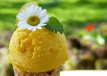 Grezzo, pasticceria crudista vegana, cerca personale a Brescia