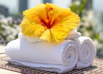 Lefay resort cerca personale