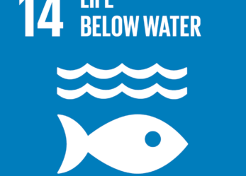 Un tema per proteggere le acque