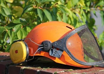 Un corso gratuito per diventare giardiniere e manutentore del verde