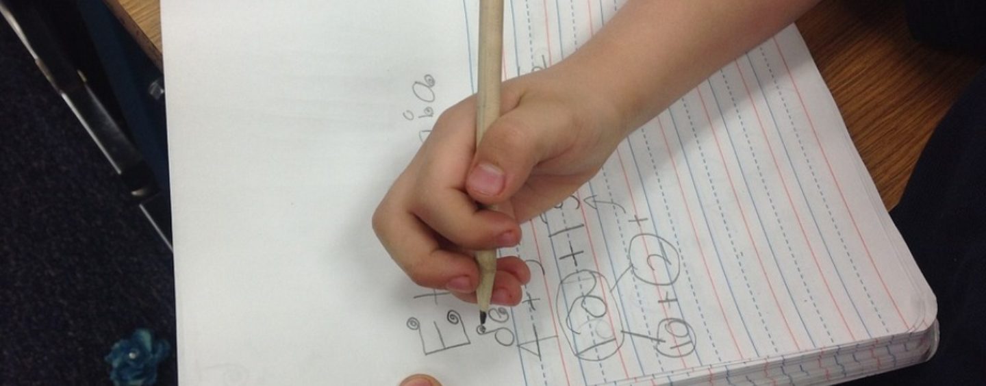 Corso per assistente ad personam