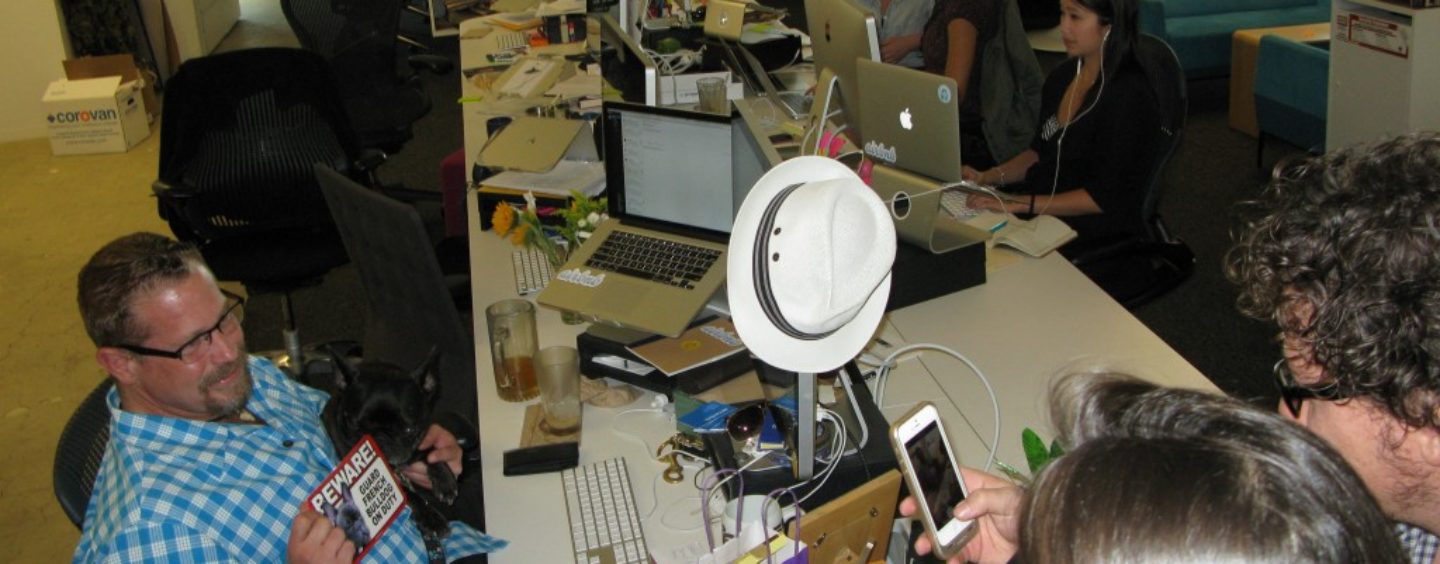 Entrepreneurship e management in California