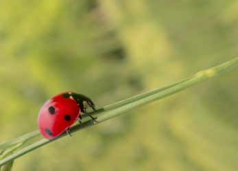 Condividi le tue azioni green in un video e partecipa al concorso i live green