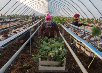 Lavorare a Reading, Regno Unito