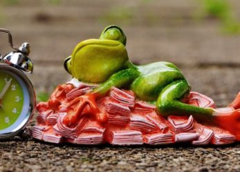 Autoimprenditoria? SELFIEmployment!