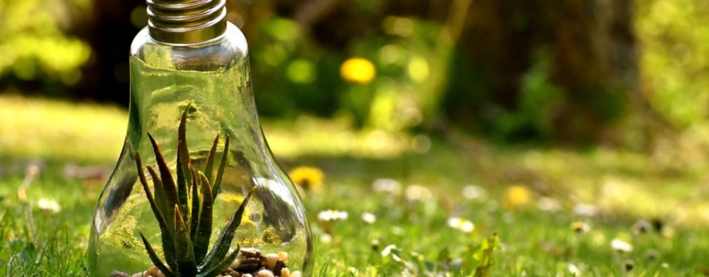 Impresa+innovazione=Startup innovativa