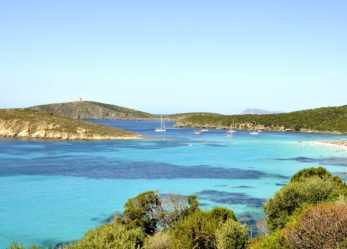 Lavora in ambito turistico e meccanico con un contratto di apprendistato