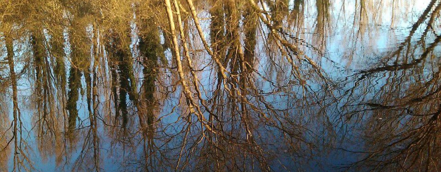 #scattailboscoPEFC e salva le foreste