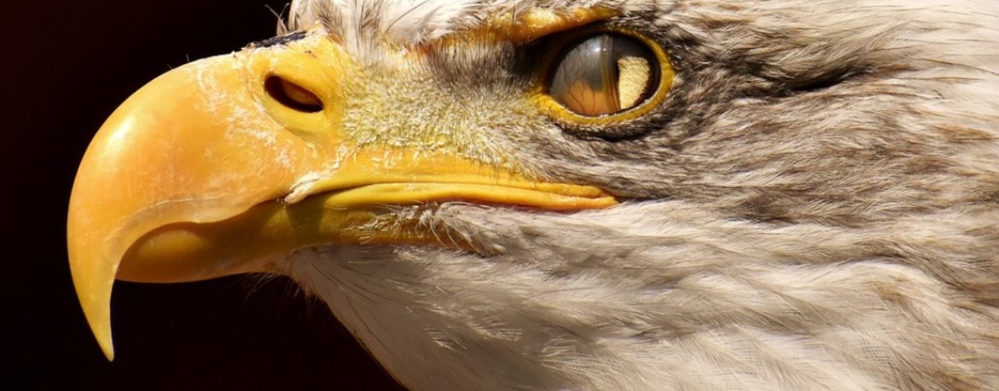 Antares vision cerca personale