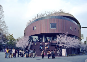 Studiare e laurearsi in Giappone