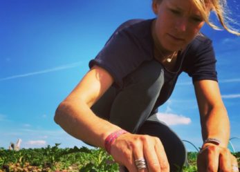 Lavorare in Danimarca