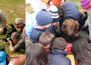 Global Junior Challenge