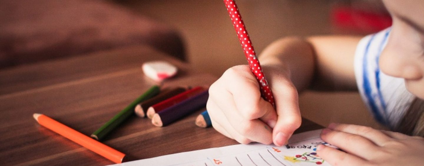 A Montichiari corso gratuito per assistente ad personam