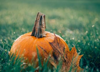 Mirabilandia: 400 attori e figuranti per l’Horror Festival