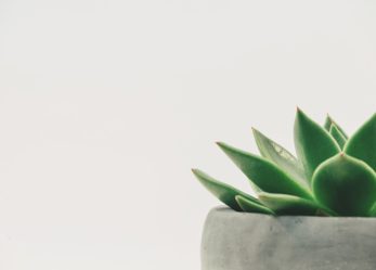 Maison du monde assume personale