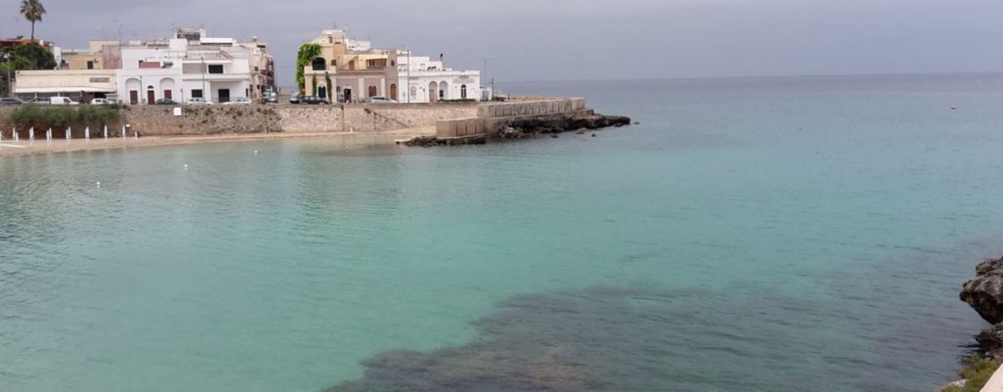 Una borsa di studio per gli ambasciatori del territorio