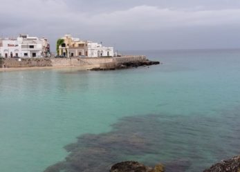 Una borsa di studio per gli ambasciatori del territorio