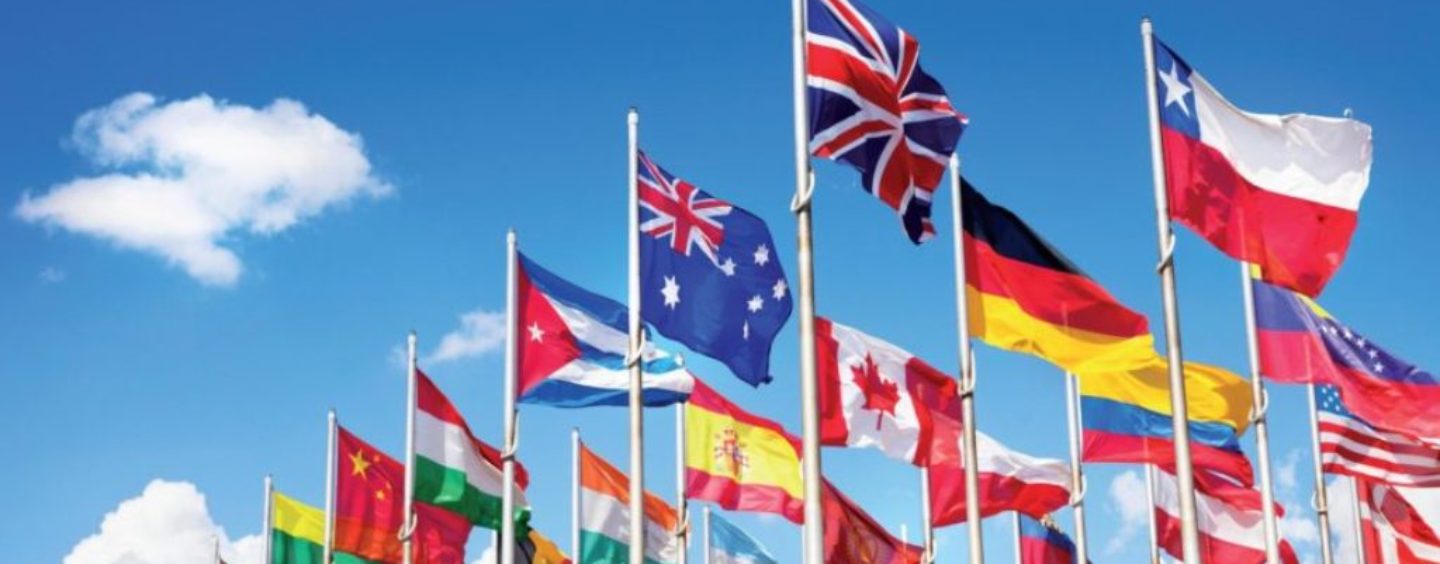 JPO, un’esperienza formativa e professionale nelle organizzazioni internazionali