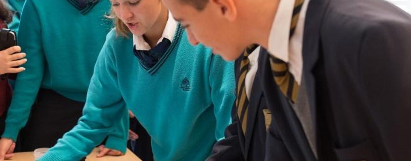 La tua scuola ambasciatrice del Parlamento europeo