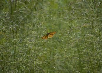 Il tuo obiettivo puntato sulle aree protette d’Italia