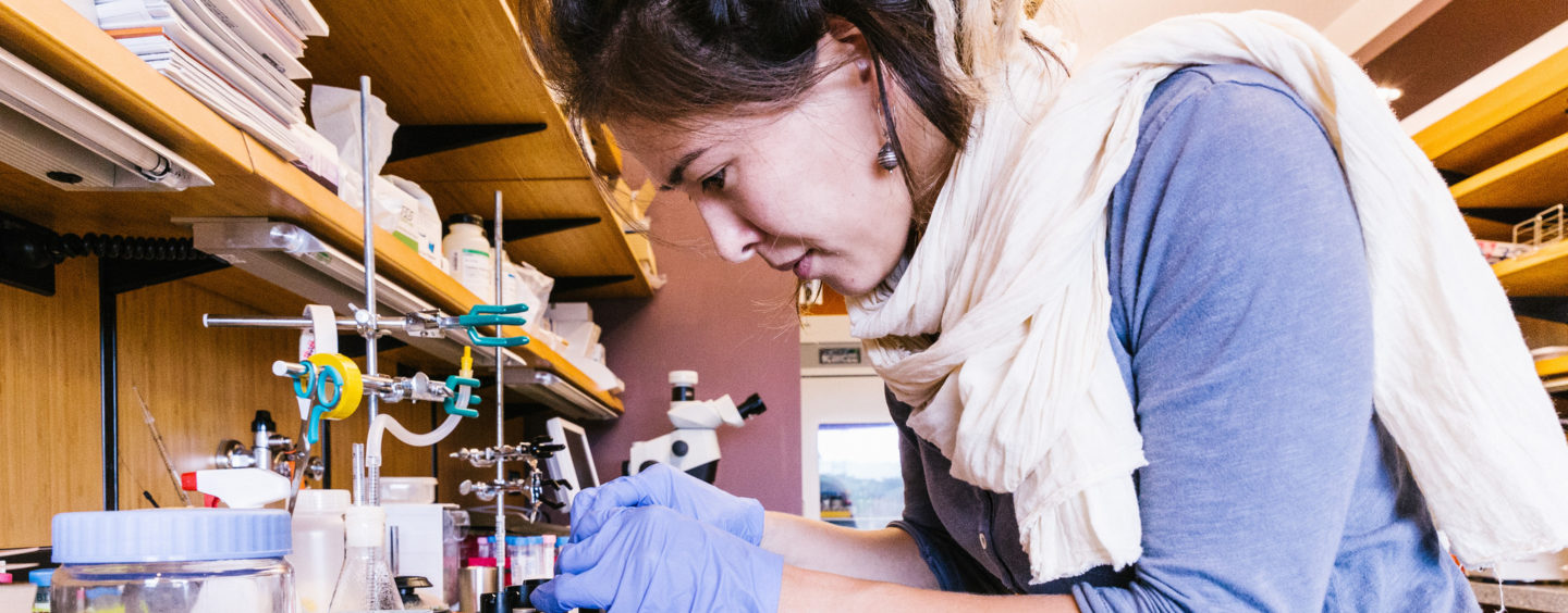 Laureate in Giappone