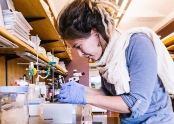 Laureate in Giappone