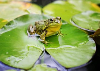 Un premio per la tua tesi sull’industria tessile green