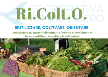 Ricolto, il primo emporio solidale di Brescia, cerca volontari e aziende che donino eccedenze