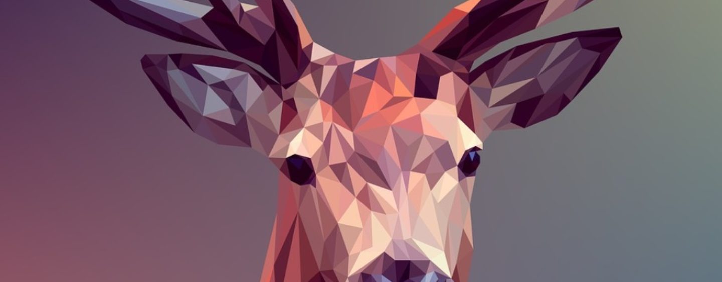 Due borse di studio per aspiranti digital artist