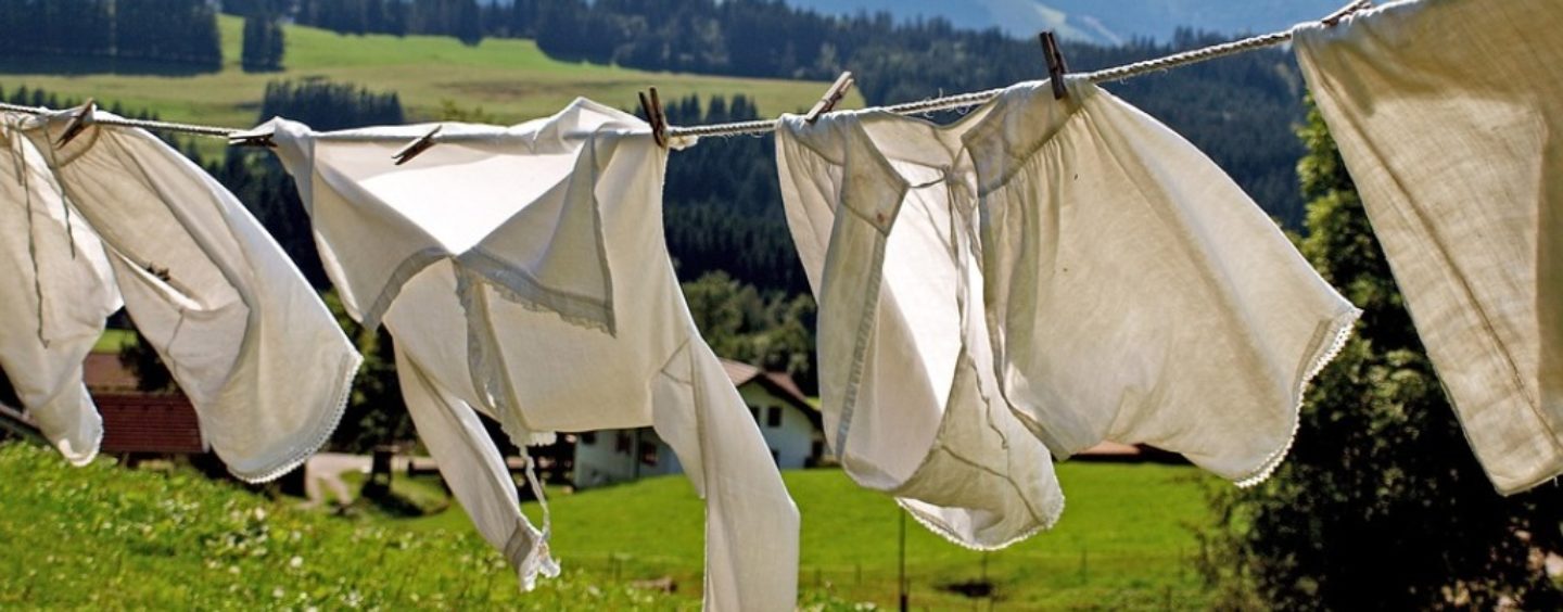 Calzedonia cerca assistenti di vendita a Lonato