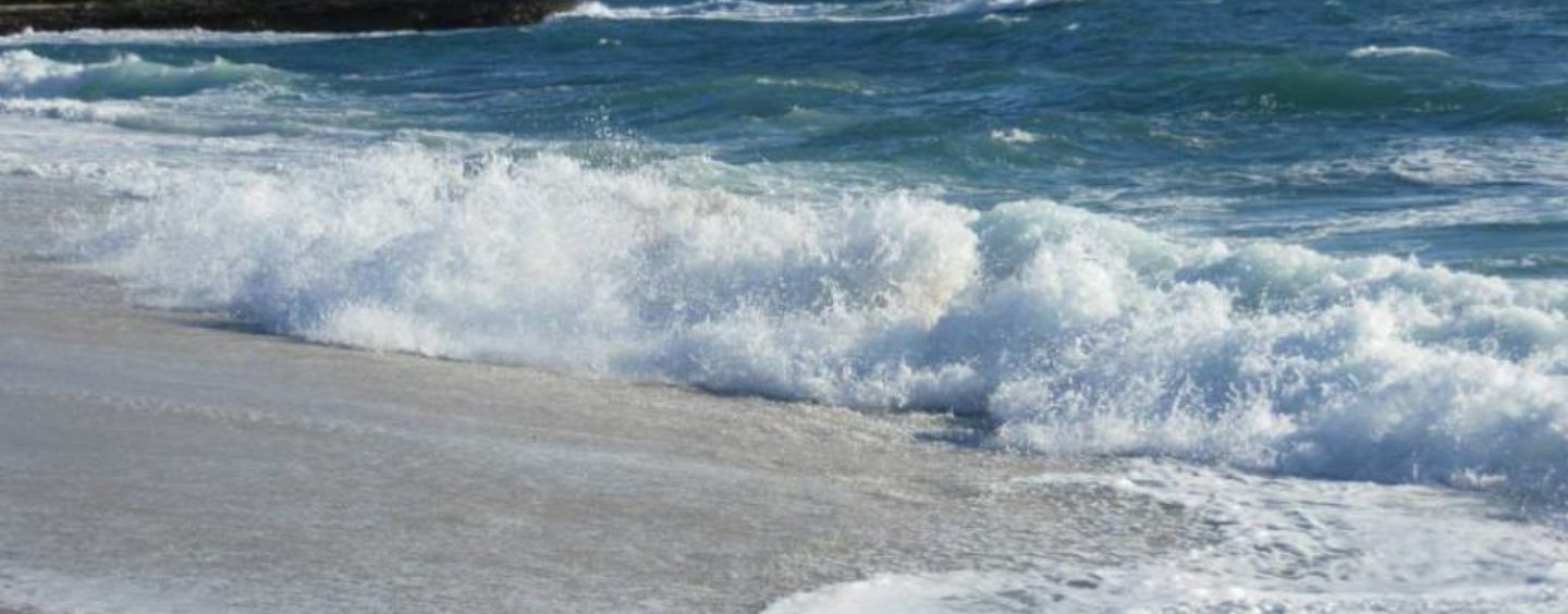 Racconta la natura con la tua arte