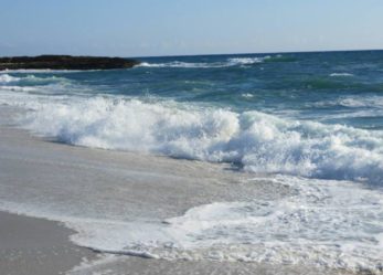 Racconta la natura con la tua arte