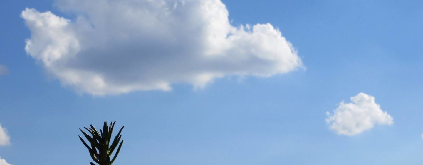 Il Junior Video-contest per la divulgazione scientifica