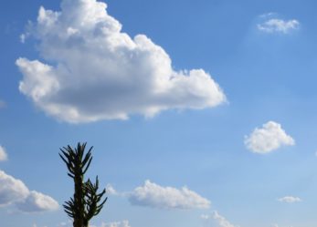 Il Junior Video-contest per la divulgazione scientifica