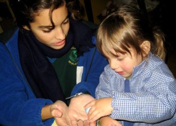 Proponi un progetto al Corpo europeo di solidarietà