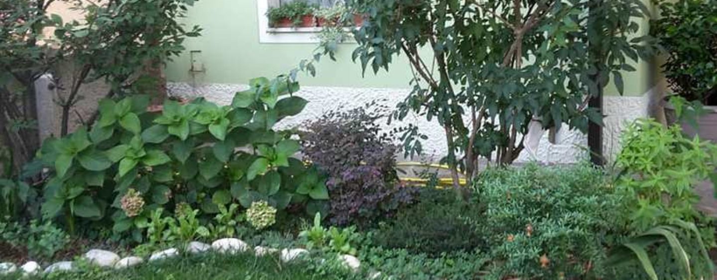 Corso gratuito per operatore del verde