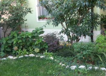 Corso gratuito per operatore del verde