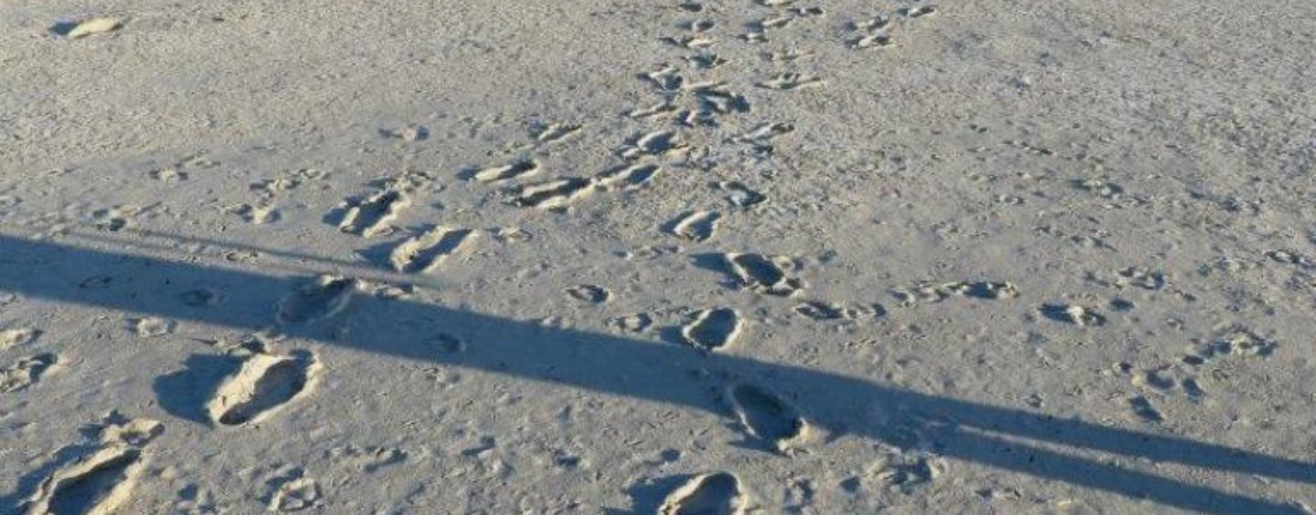 Il tuo viaggio all’estero in 3000 battute