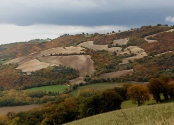 Premio Laura Conti per tesi di laurea sull’ambiente