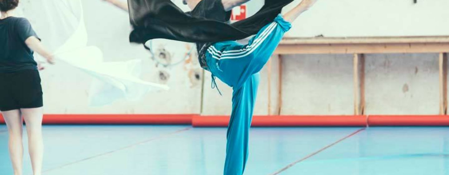 65 ballerini professionisti e coreografi a Vienna