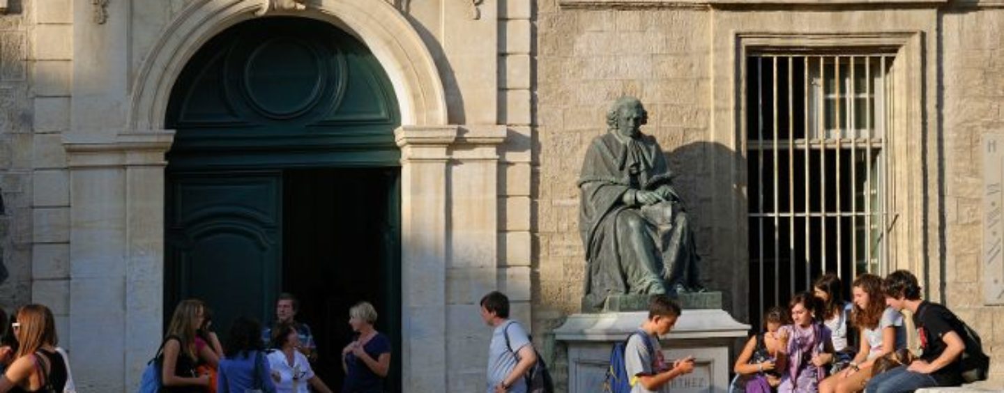 Opportunità di lavoro per chi ha studiato in Francia (anche solo 1 semestre)