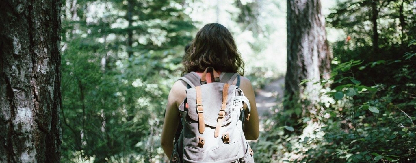 A Vestone un corso a pagamento per guida naturalistica
