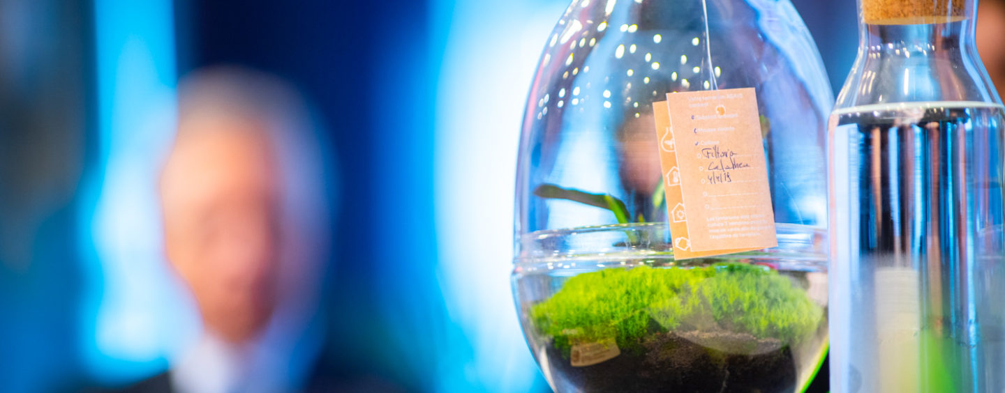 EU Sustainable energy awards anche per under 30