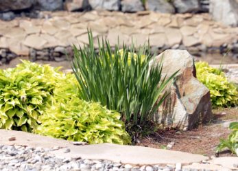 Radici, open call per artisti del paesaggio