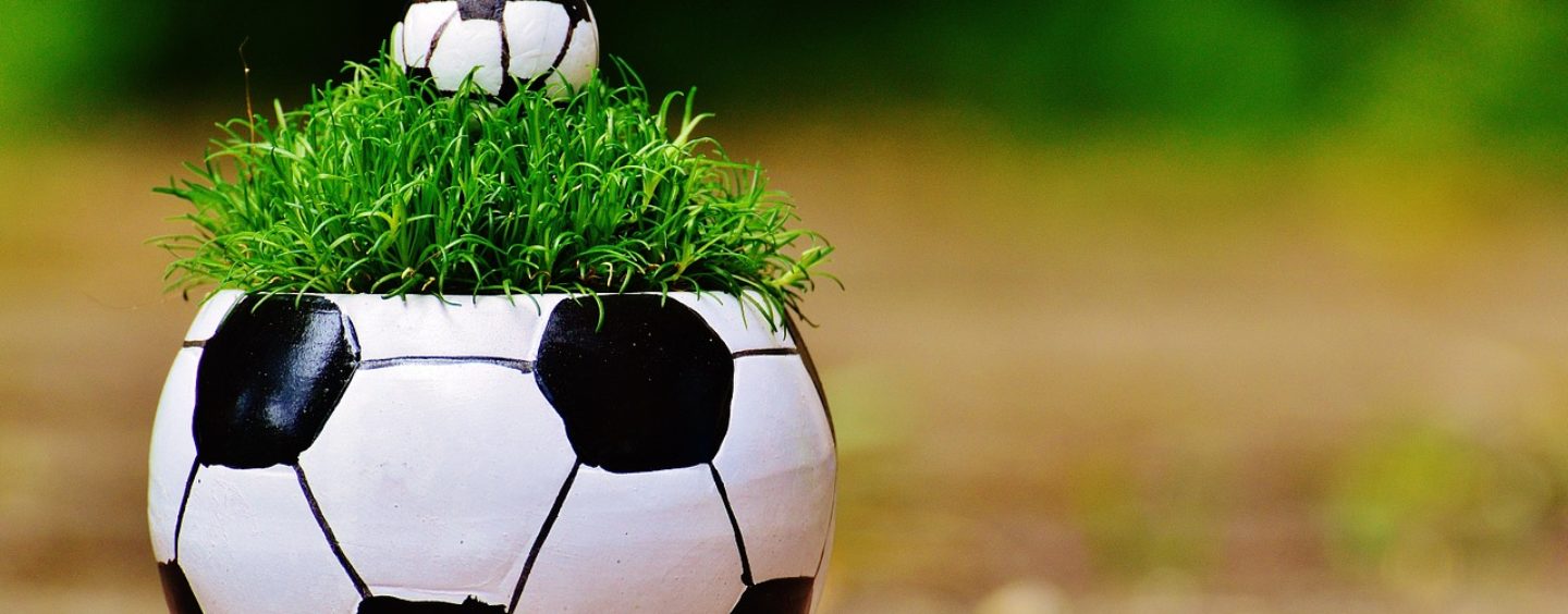 No al razzismo negli stadi stadi con una borsa di studio