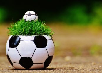 No al razzismo negli stadi stadi con una borsa di studio