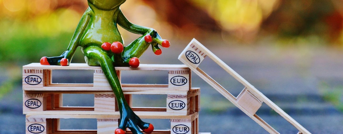 Corso gratuito per addetto al magazzino con guida muletto