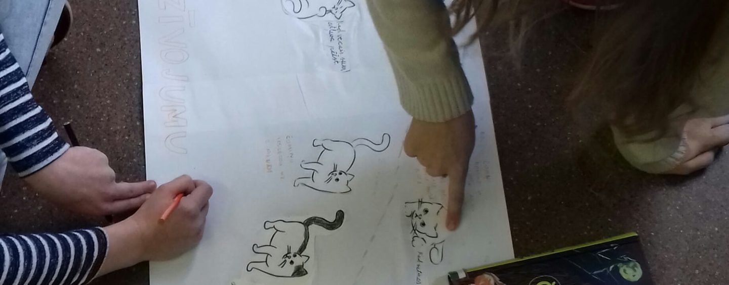 Disegna la tua European solidarity corps t-shirt