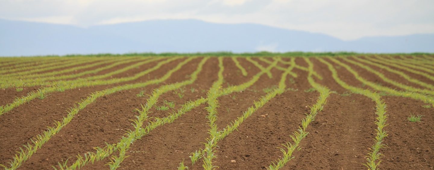 Due premi di laurea in scienze agrarie