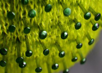 COVID-19 challenge: la tua idea creativa per l’emergenza sanitaria